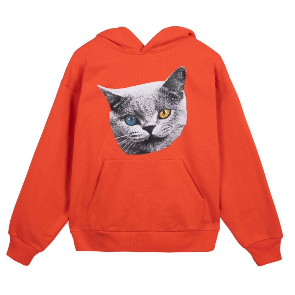 SHARK CAT HOODIE