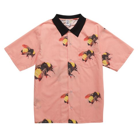 BEE BUTTON UP