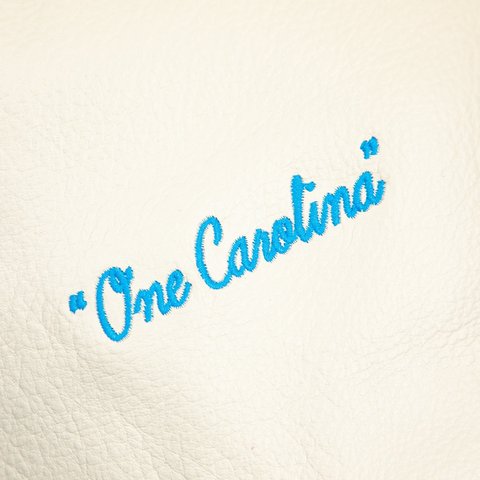 Golf Wang PANTHERS LETTERMAN JACKET - Colorway