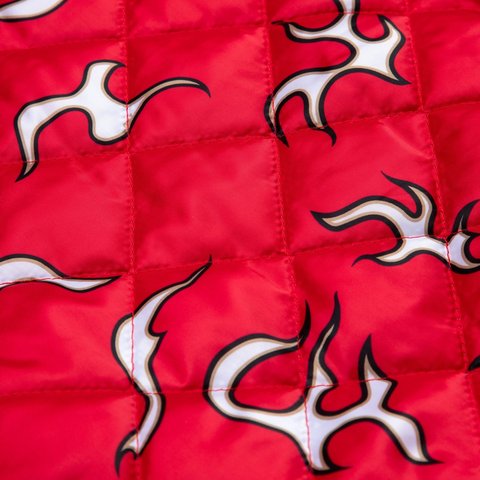 Golf Wang 49ERS LETTERMAN JACKET - Colorway