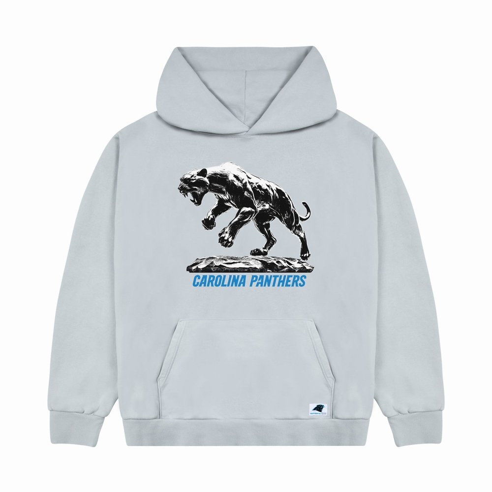 PANTHERS CUTOUT HOODIE