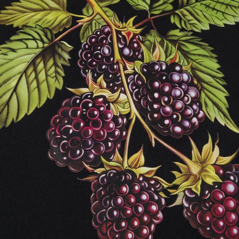 Golf Wang BLACKBERRY TEE - Colorway